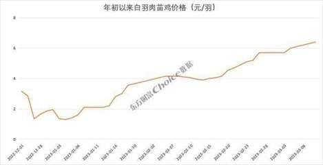 价格暴涨374%，新一轮“鸡周期”来了？苗鸡市场异动背后的逻辑与展望